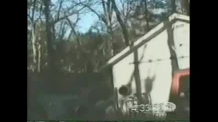 Ultimate Idiots