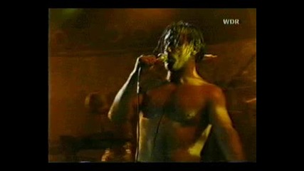 rammstein - Der Meister(live)