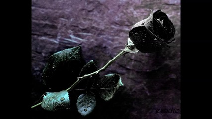Коцето - Черна роза със Субтитри [ H D ]