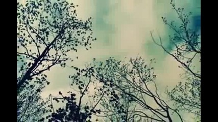 Celine Dion - Just Walk Away Bg prevod (елена Найденова)[1]