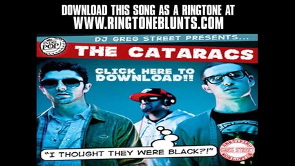 Cataracs - Bass Down Low (proper Villains Dubstep Remix)
