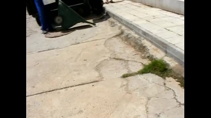 Така се разторвава хуманно куче според тях