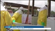 Световни експерти: Битката с Ебола не е спечелена