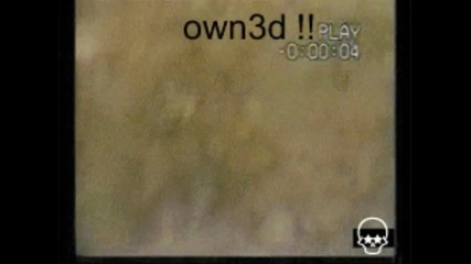 смях 2 