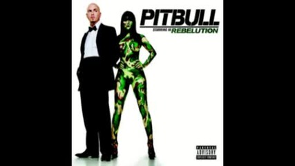 07 - Pitbull Feat. The New Royales - Cant Stop Me Now ( Rebelution 2oo9 )