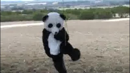 Dude Perfect™ Panda Episode 3