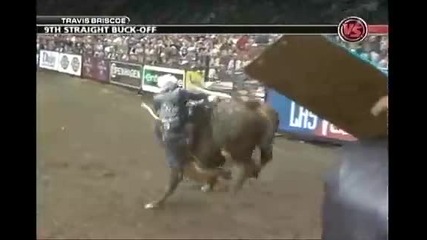 Travis Briscoe Vs Mortachi 