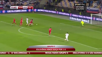 Словения - Швейцария 1:0