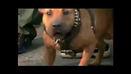 Dmx - Where The Hood At Dirty