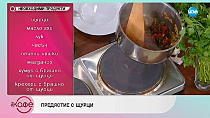 Да се храниш с насекоми - На кафе (23.11.2018)