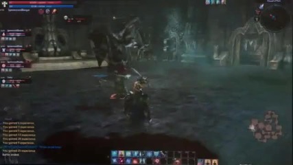Gamescom 2011: Tera - Kaidun Raid Boss Walkthrough