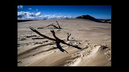 Mike Foyle Presents Statica - Deadly Nightshade ( Original Mix ) 