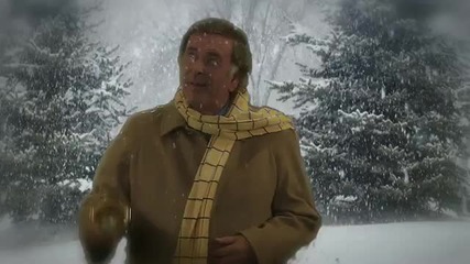 Bandaged Together - Silver Bells