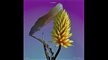 *2016* Flume ft. Tove Lo - Say It