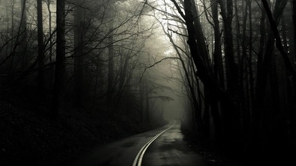 Blackmill - In The Night Of Wilderness