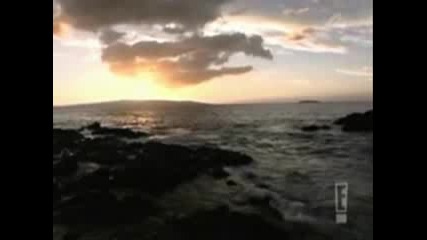 Adriana Lima Video