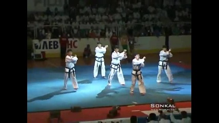 Korean Taekwondo Video