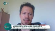 Пореден случай на агресивен домашен любимец: Каква е ролята на институциите