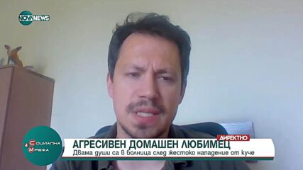 Пореден случай на агресивен домашен любимец: Каква е ролята на институциите