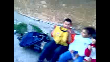 darina 