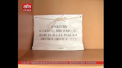 Тодоров извади на светло попечители на "дървената мафия" в Пиринско