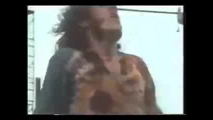 Joe Cocker - Lets Go Get Stoned
