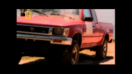 Ng Wild - Смъртоносна захапка!!