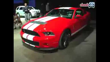 zvqr 2010 Ford Shelby Gt500 @ 2009 Naias