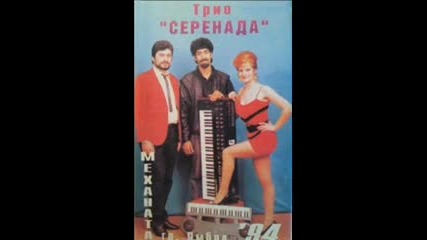 Trio Serenada 1994 - Omajena jena 