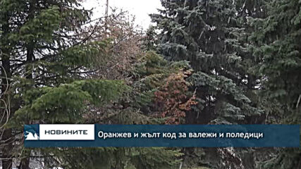 Оранжев и жълт код за валежи и поледици