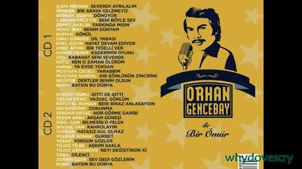Ebru Gundes - dil yarasi 2012 Orhan Gencebay[ bir omur]