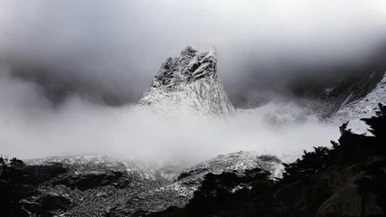 Vinterland - Wings of Sorrow