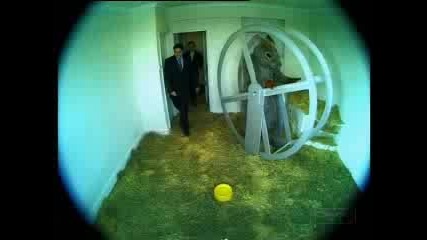 Trigger Happy Tv - Апартамент за продажба
