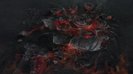 Burning Roses