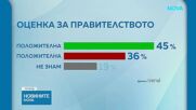 "Тренд": Кабинетът "Радев" стартира с 45% одобрение