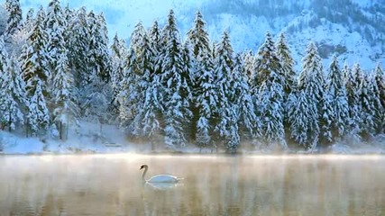 Richard Clayderman - Love song in winter