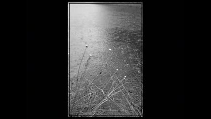 Norman Brown - Rain