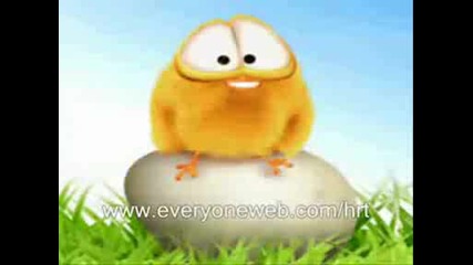 Sweety The Chick - 4 Videos