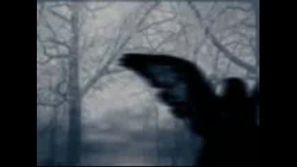 Within Temptation - Somewhere