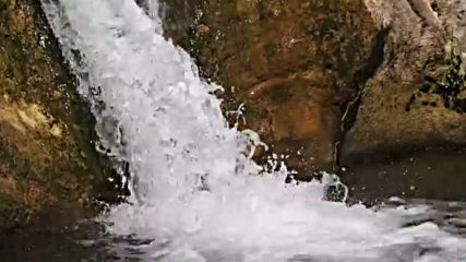 Сред прохладата на водопад Сини вир!