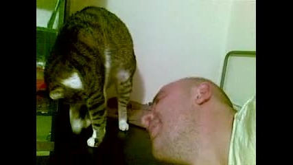 Моето глупаво котинци