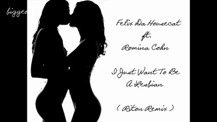 Felix Da Housecat ft. Romina Cohn - I Just Want To Be A Lesbian ( Riton Remix ) [high quality]