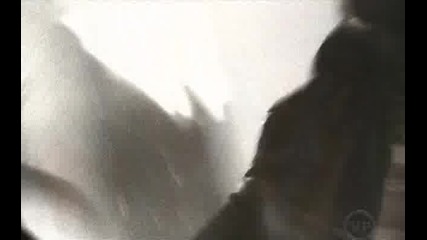 The Killers Ft Lou Reed - Tranquilize
