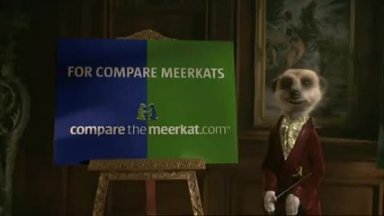 Official Compare The Meerkat Jingle Advert By Aleksandr Orlov 