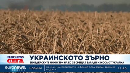 Министрите на земеделието в ЕС се събират на среща за украинското зърно