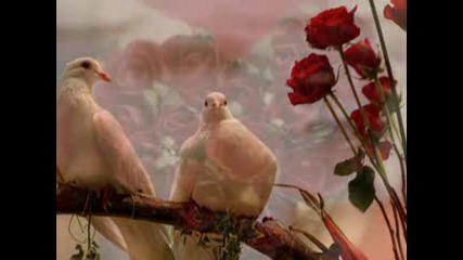 Orietta Berti - Io, Tu E Le Rose