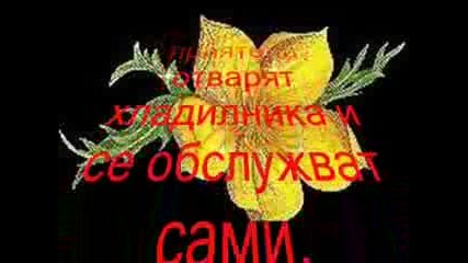 Обикновенните - срущу - истинските 