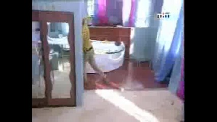 Big Brother В Русия