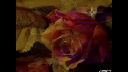 Jim Reeves - Roses