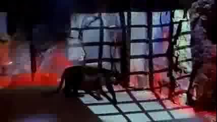 C.c Catch - Heaven And Hell